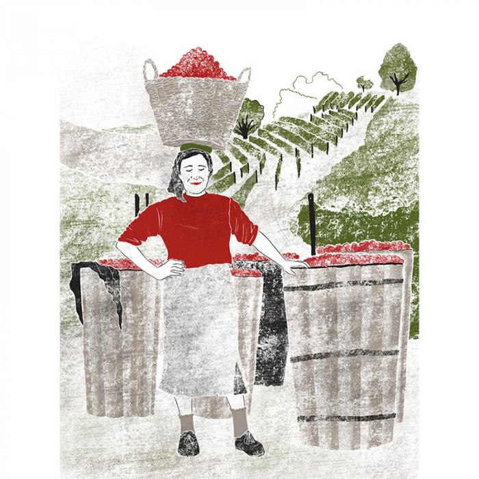Storie di vendemmia - Le donne