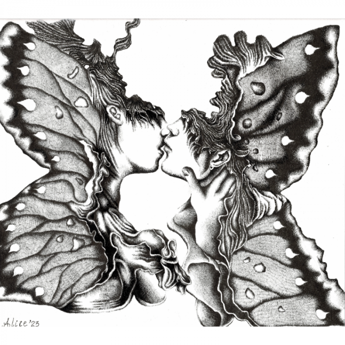 Metamorphosis