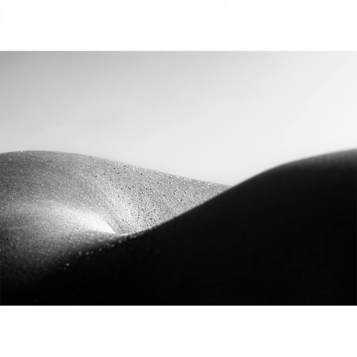 Bodyscapes #1