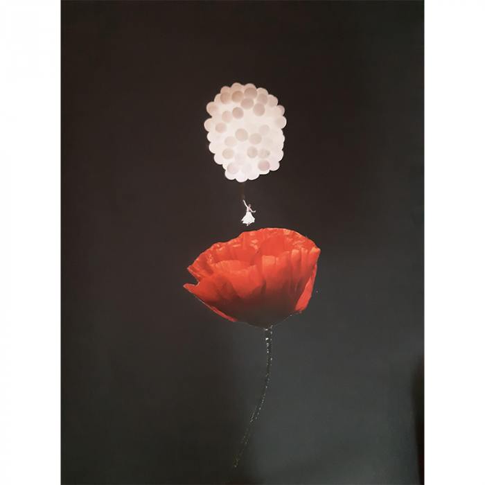 Volando sul fiore