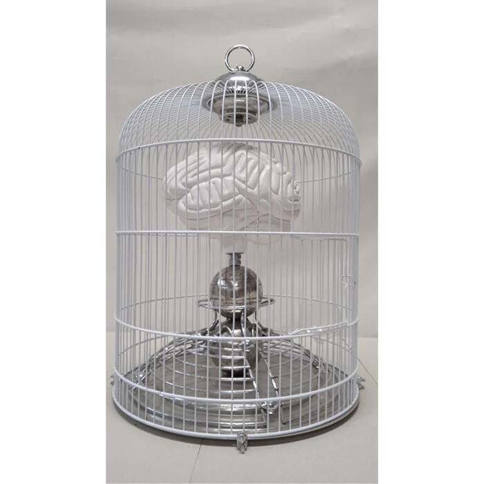 CageBrain