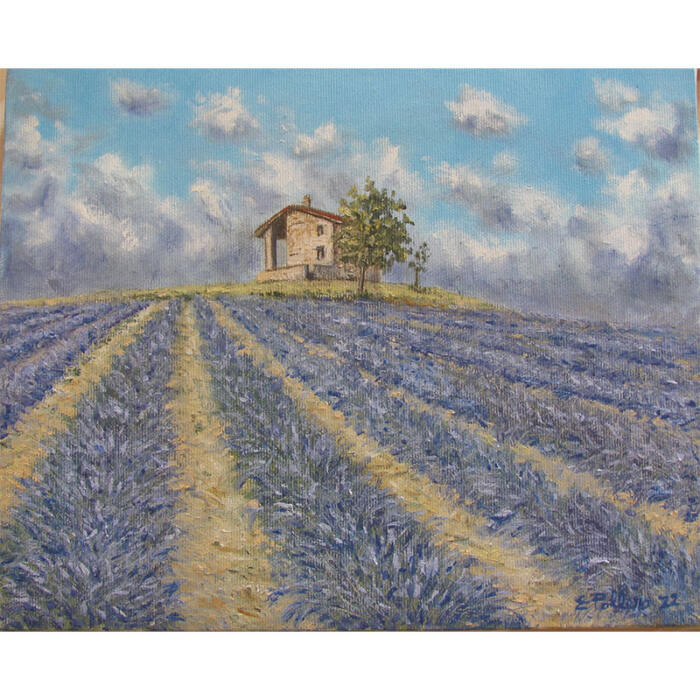 Rustico nella lavanda a Sale S. Giovanni