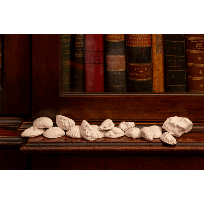 Ancestral Healing: Configurations 00