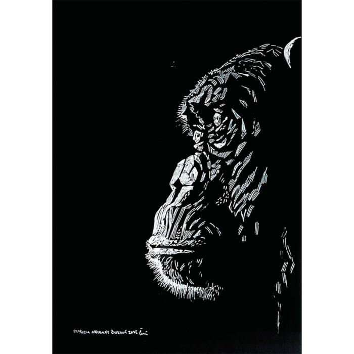 Chimpanzee / protection