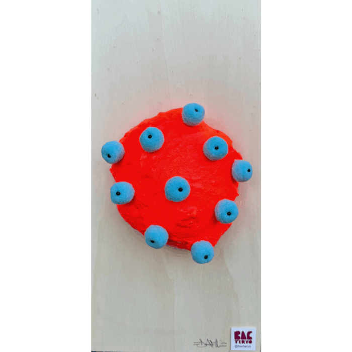 Bacteryo n.57