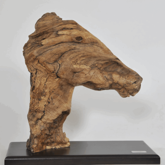 Cavallo