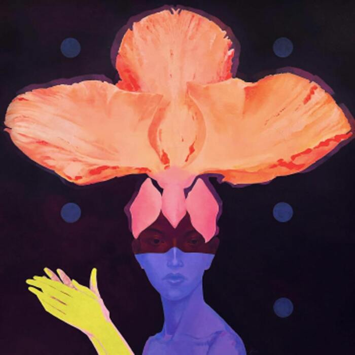 Orchid Diva