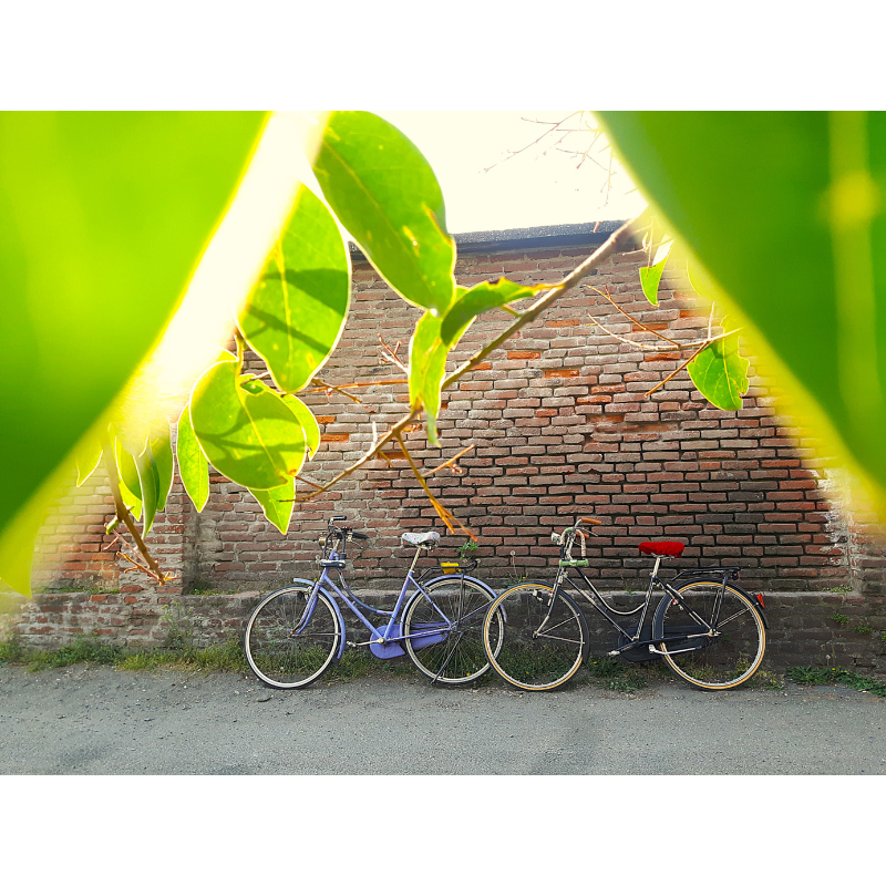 Contemporary Once Upon A Time