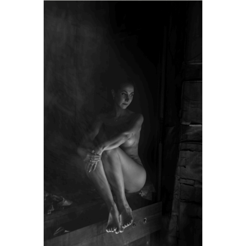 La forma del ritorno