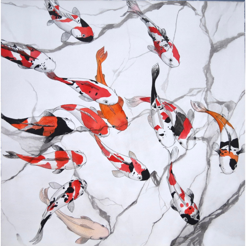Carpe Koi