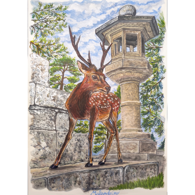 Il Cervo di Miyajima