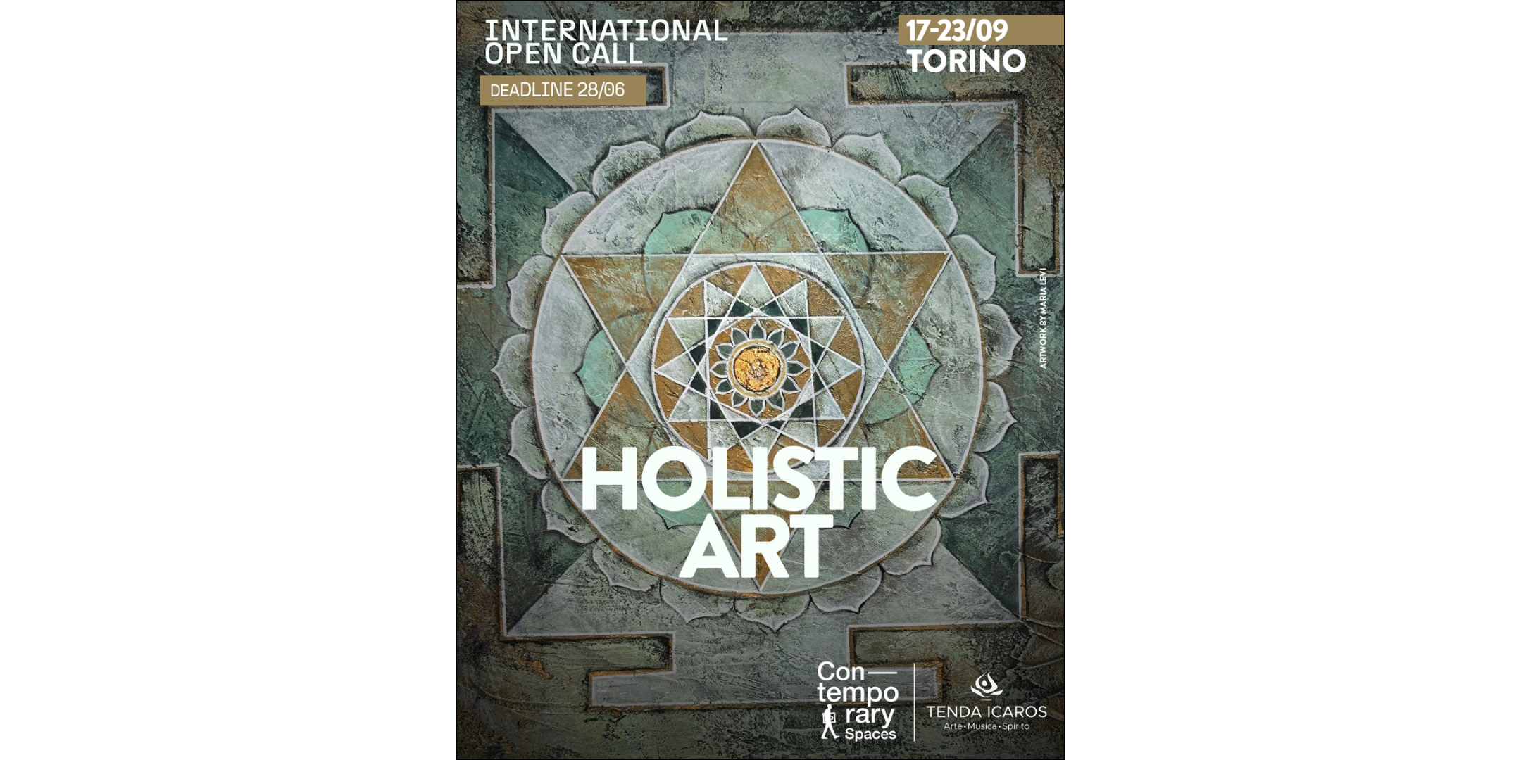 HOLISTIC2 banner