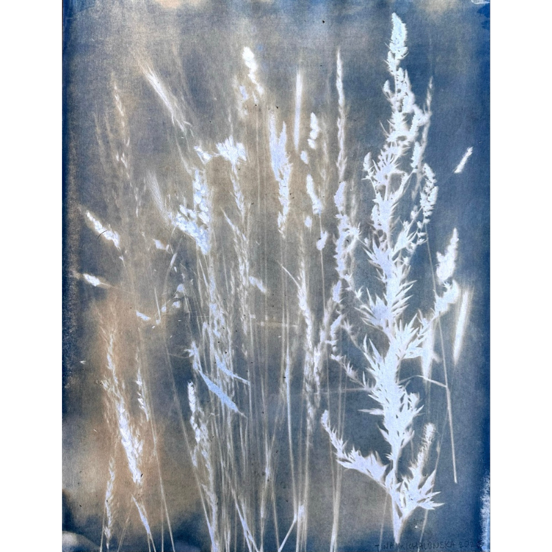 Liminal Ground