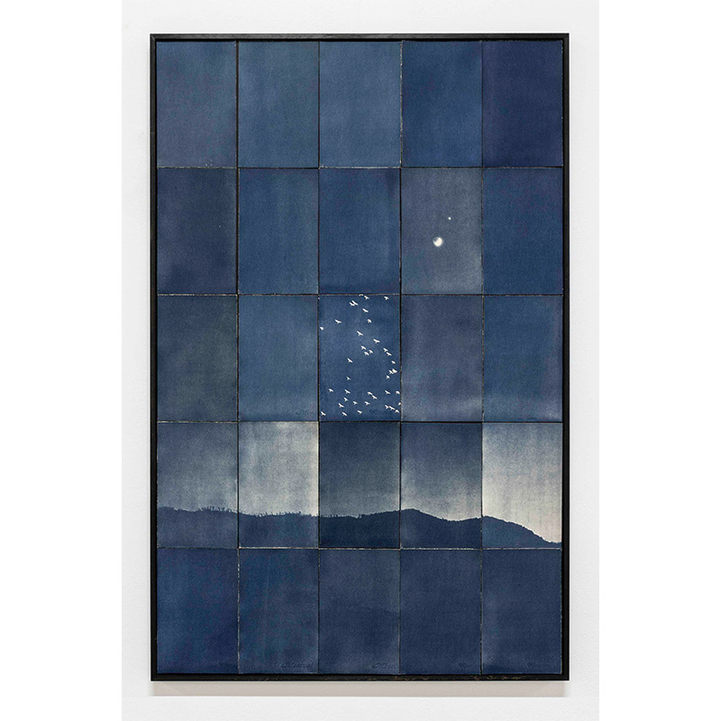 Moon, birds and a star
