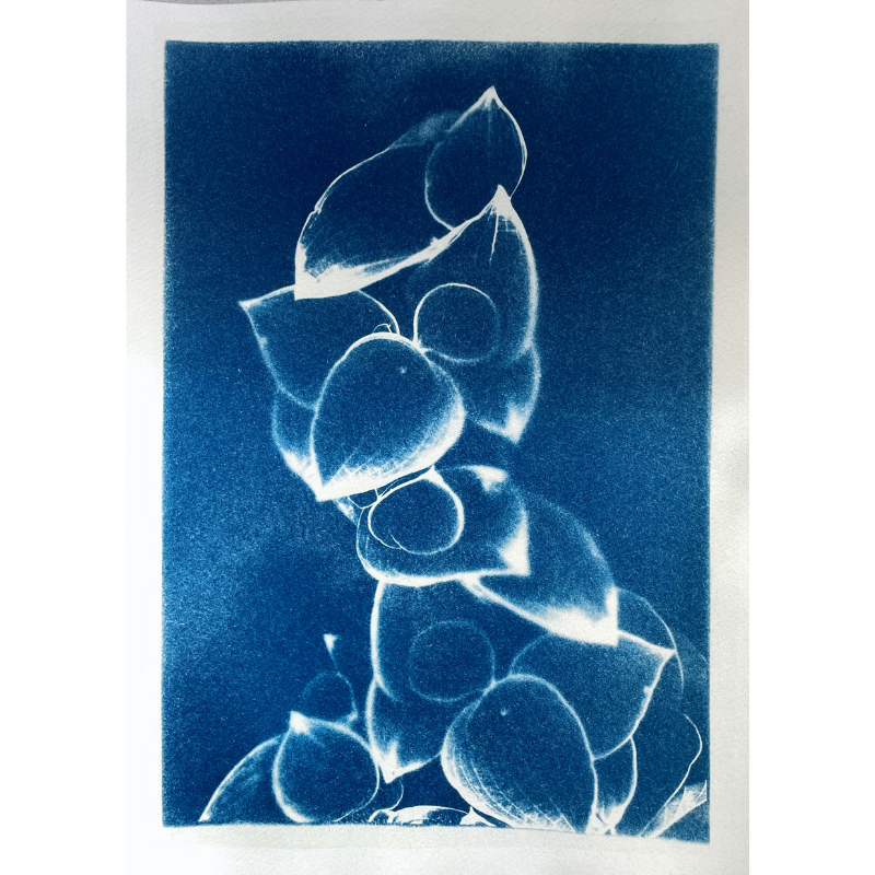 Portraits of displacement