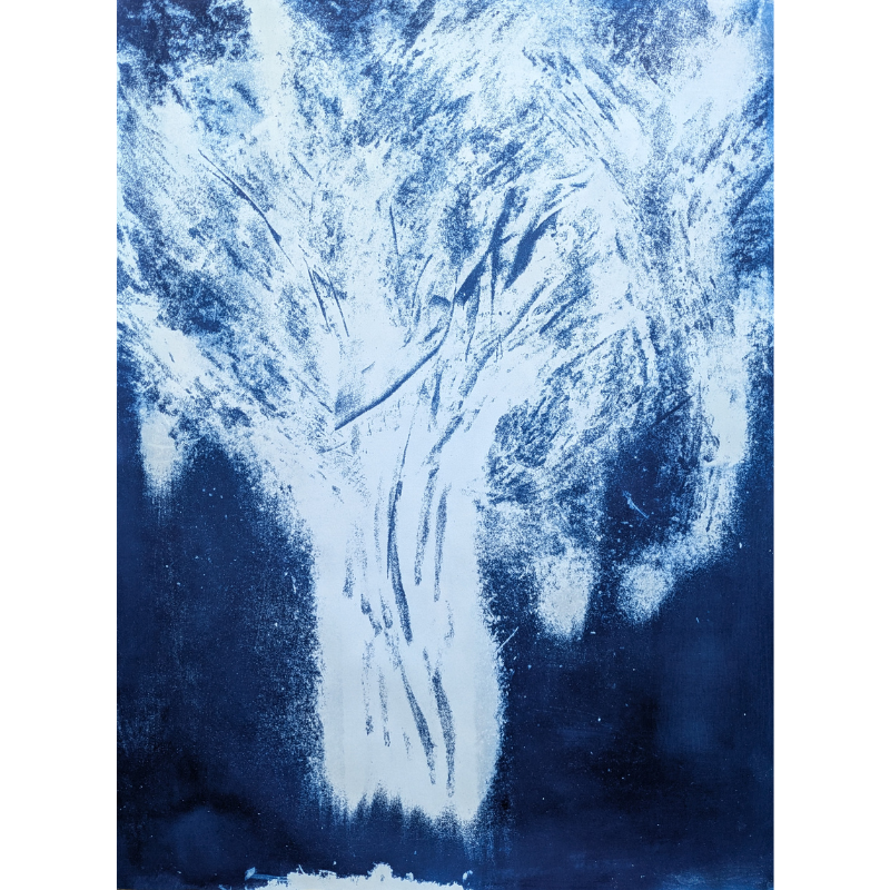 Pyrotype 5