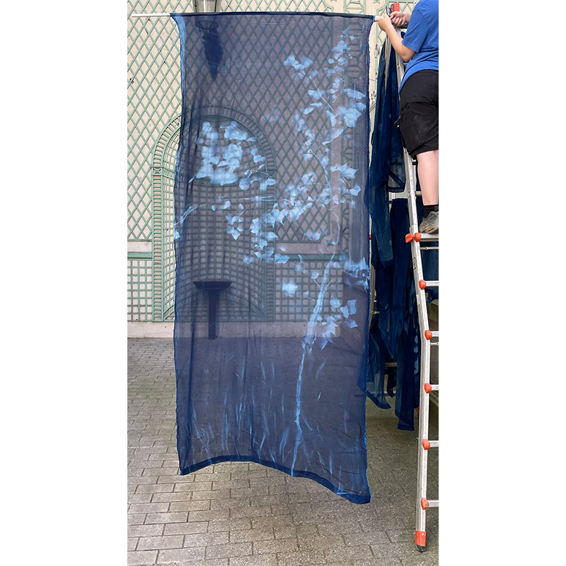 Une ombre bleue devient une relique