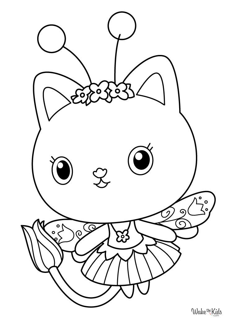 TEST Opera 1