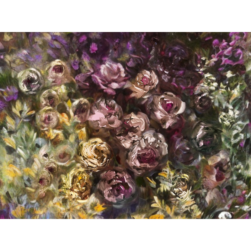 Botanica dell’ombra