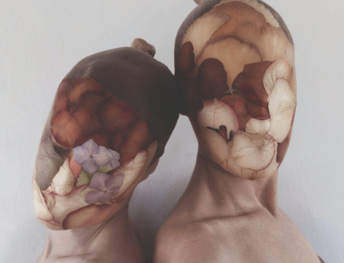 Medullastudiomedulla