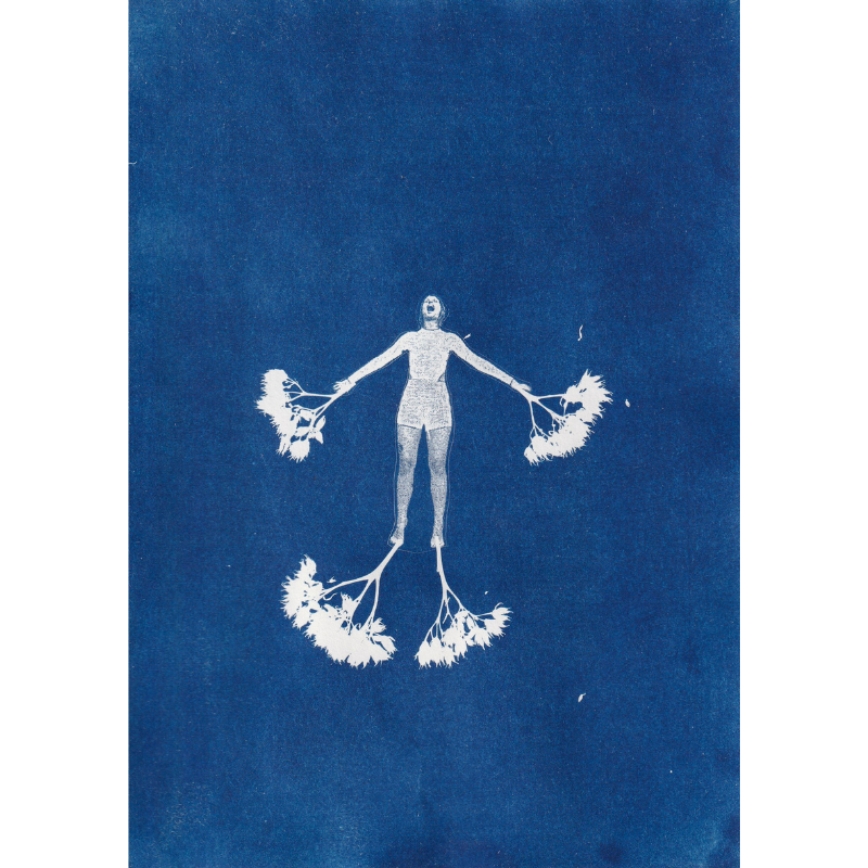 Metamorphoses