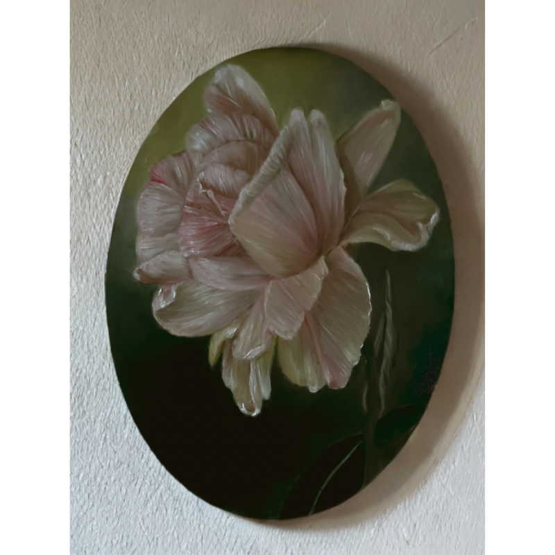 Silenzio botanico