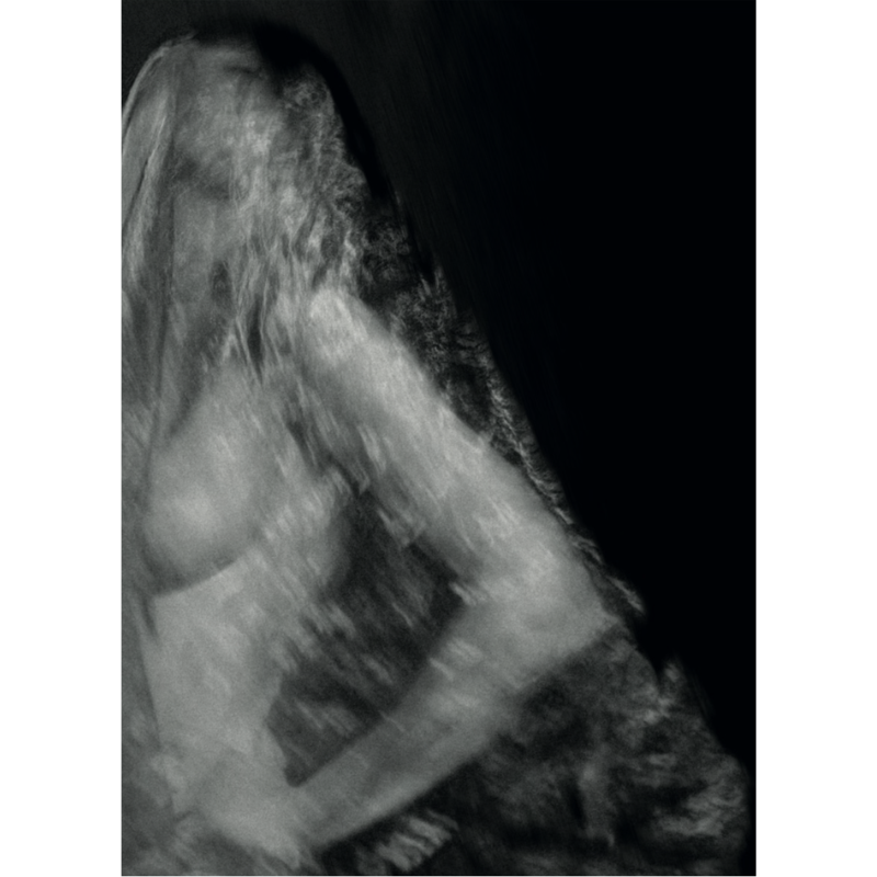 Vestige