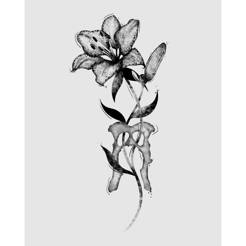 Fox Lily