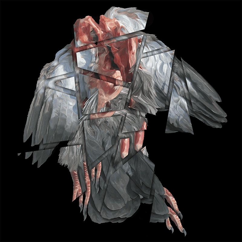 Anatomia frammentata