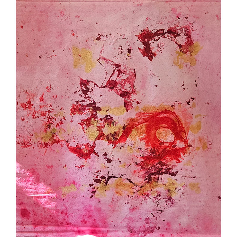 Colors 4
