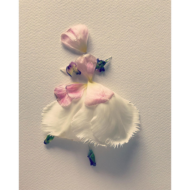 La danza dei fiori