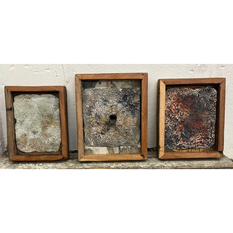 mold