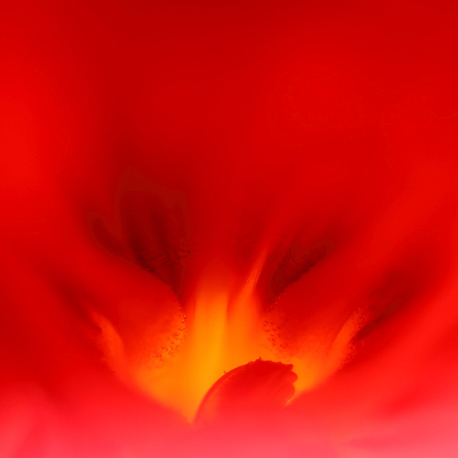 Flower volcano