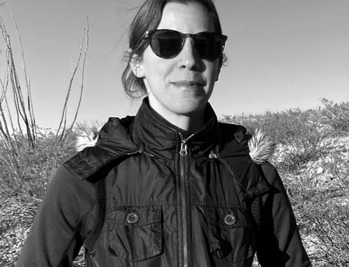 Brita d’Agostino