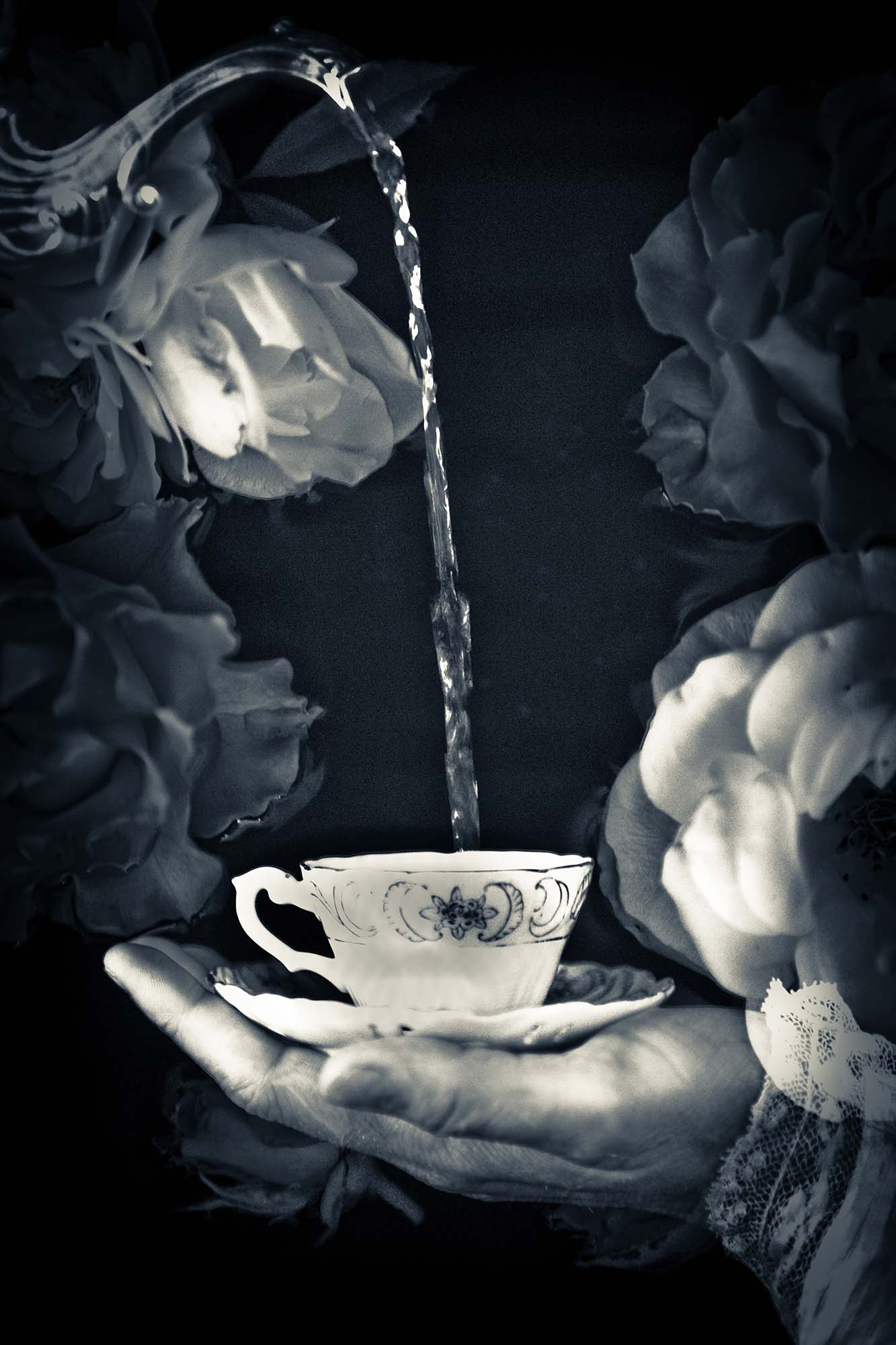 Ace of Cups