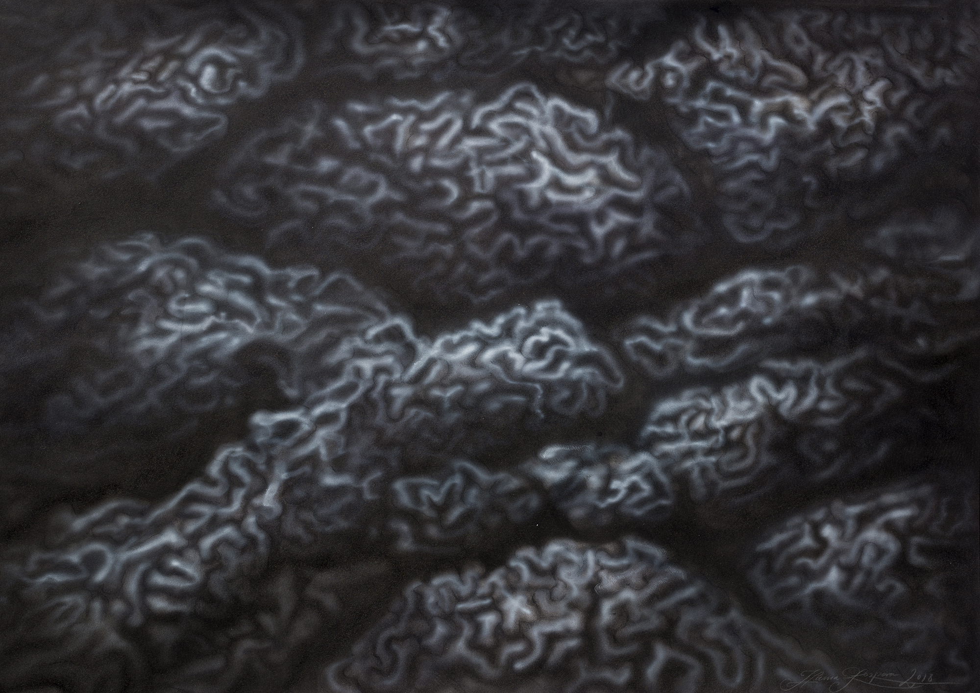 Cerebrum