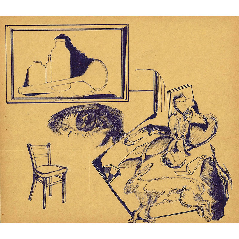 The Chemistry of Rabbit Life