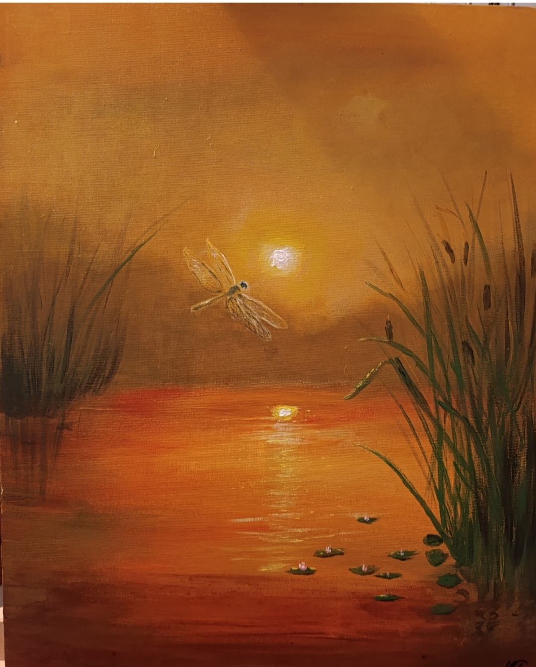 Where Dragonflies Dream