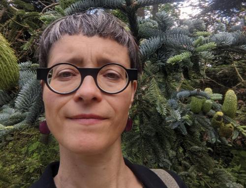 Annett Andersch