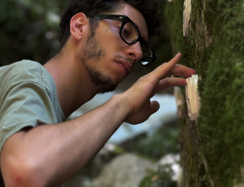 Davide Sbardella