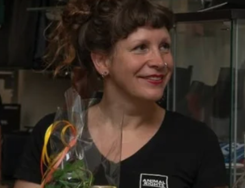 Lynda Smids