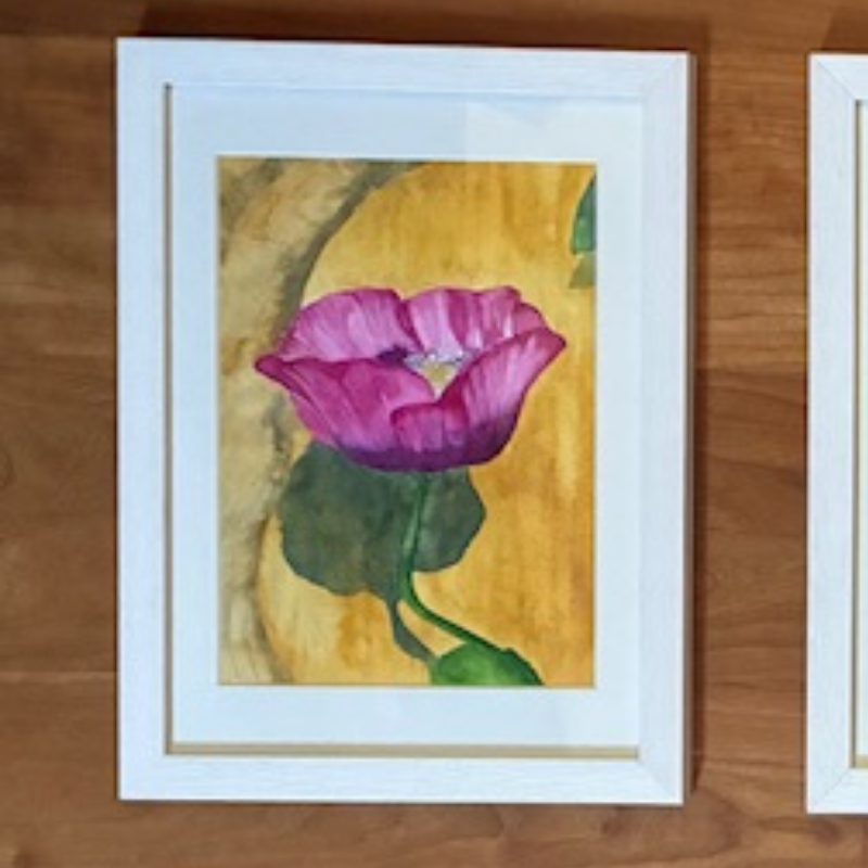MAGNOLIA