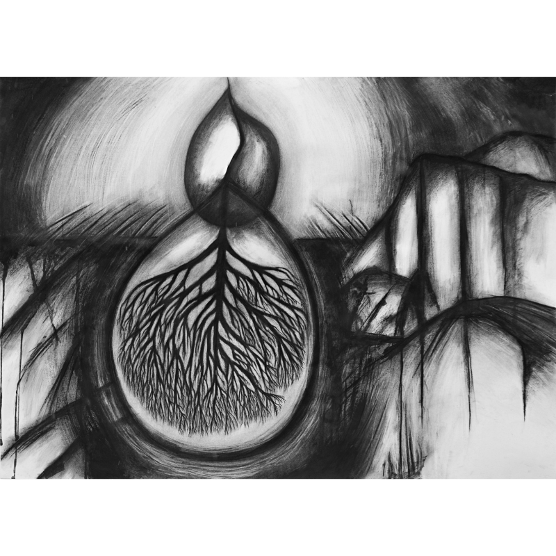 Seedling