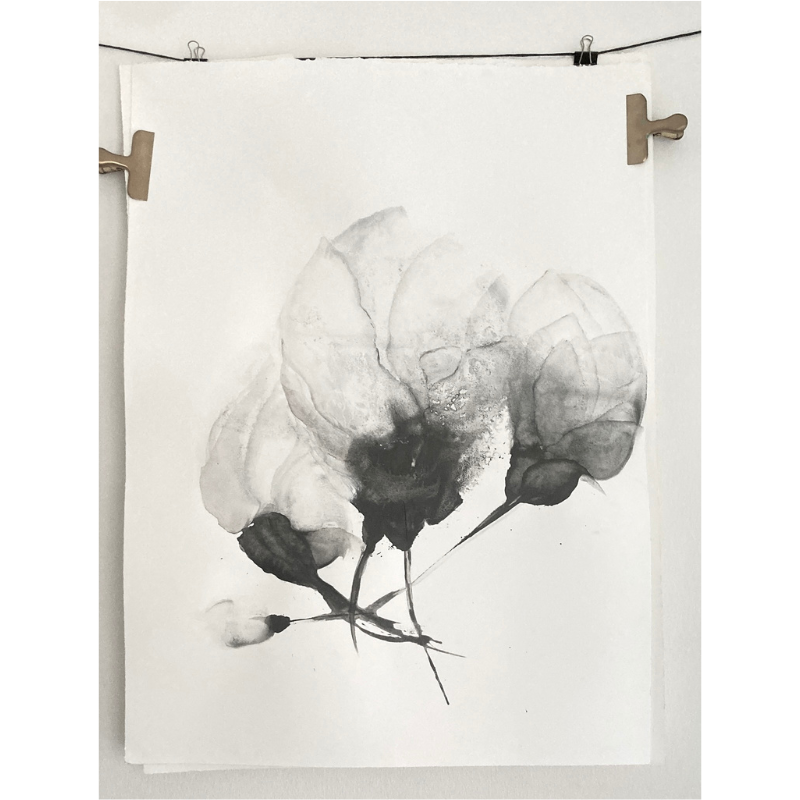 Strani Fiori 1