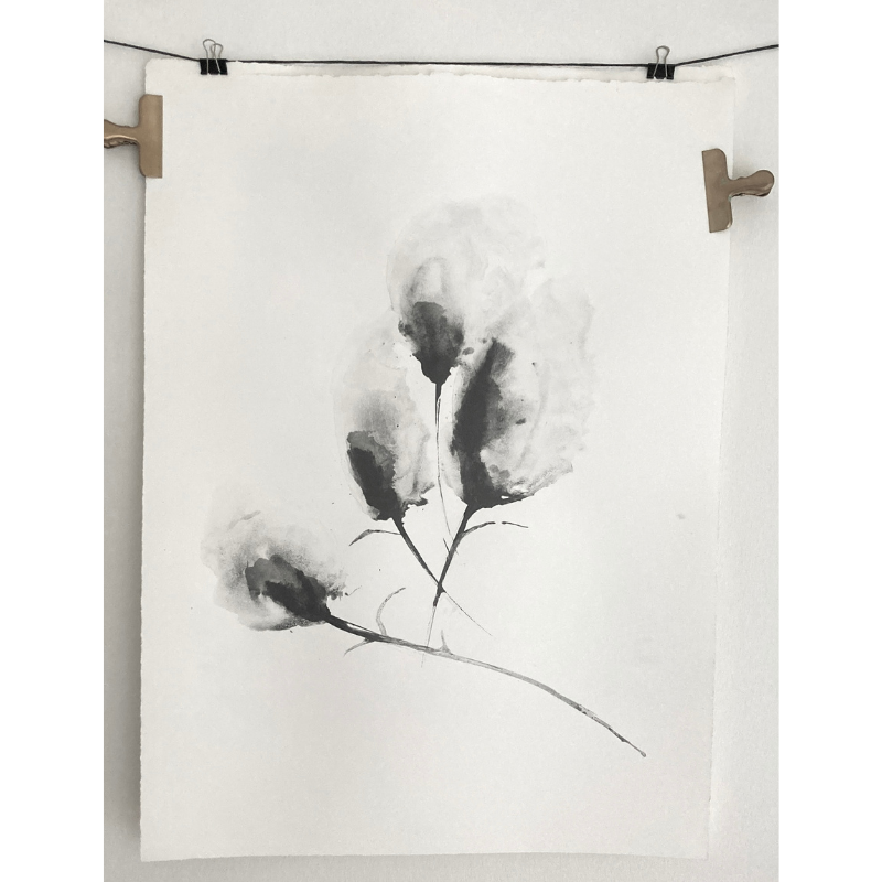 Strani Fiori 2