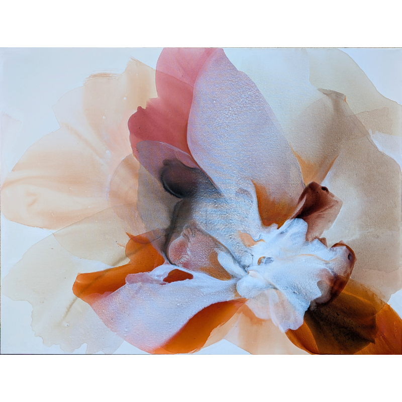 A Symphony in Marigold