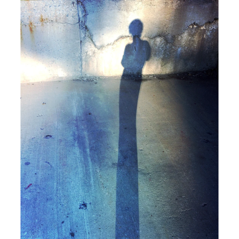 The Concrete Muse