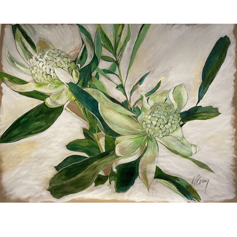White Waratah