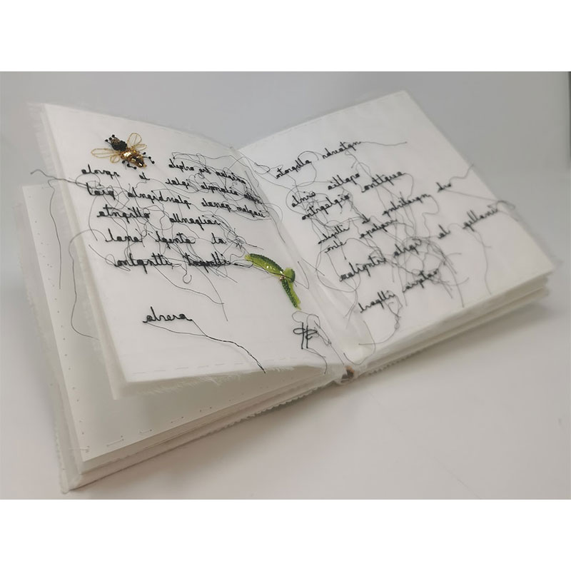 Libro aperto