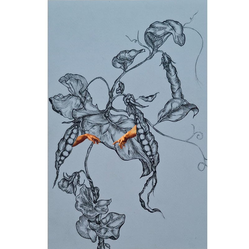 La creazione
